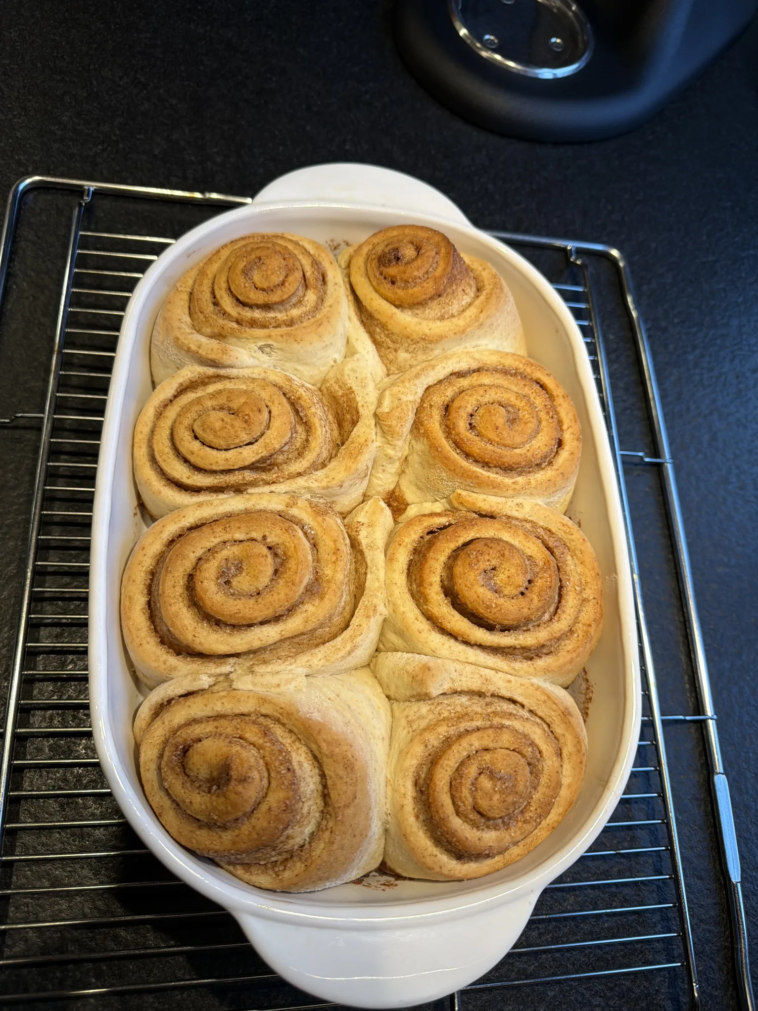 Acht frisch gebackene Zimtschnecken in einer weißen ovalen Auflaufform auf einem Kuchengitter, goldbraun mit sichtbarer Spirale