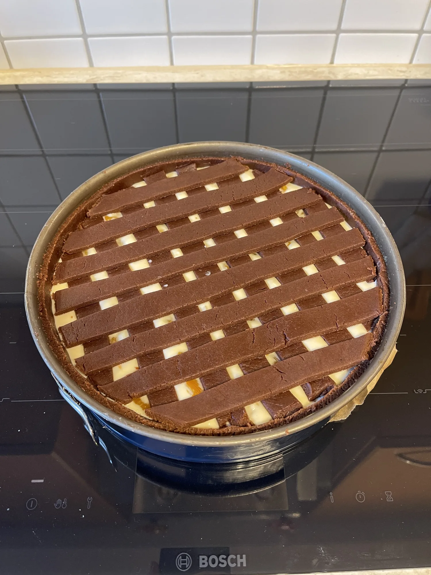 Kuchen in Springform mit Gitter aus dunklem Schokoladenteig, durch die Lücken sieht man helle Quarkfüllung mit Orangenstückchen.