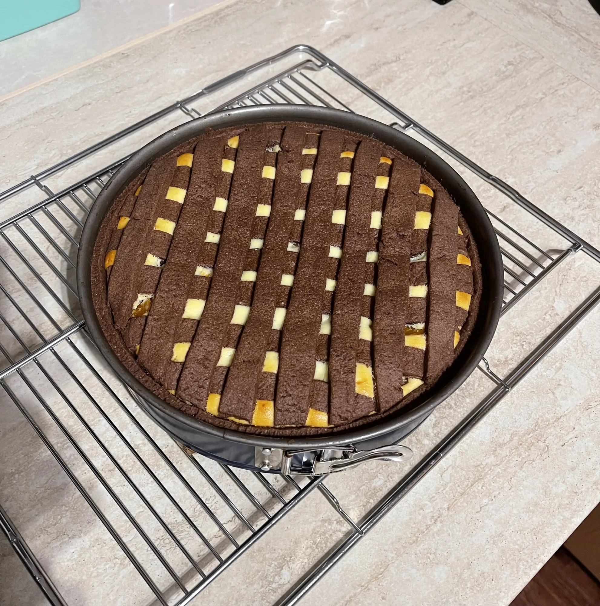Kuchen mit dunklem Schokoladen-Teiggitter und goldgelber Quarkfüllung in der Springform, abkühlend auf einem Gitterrost.