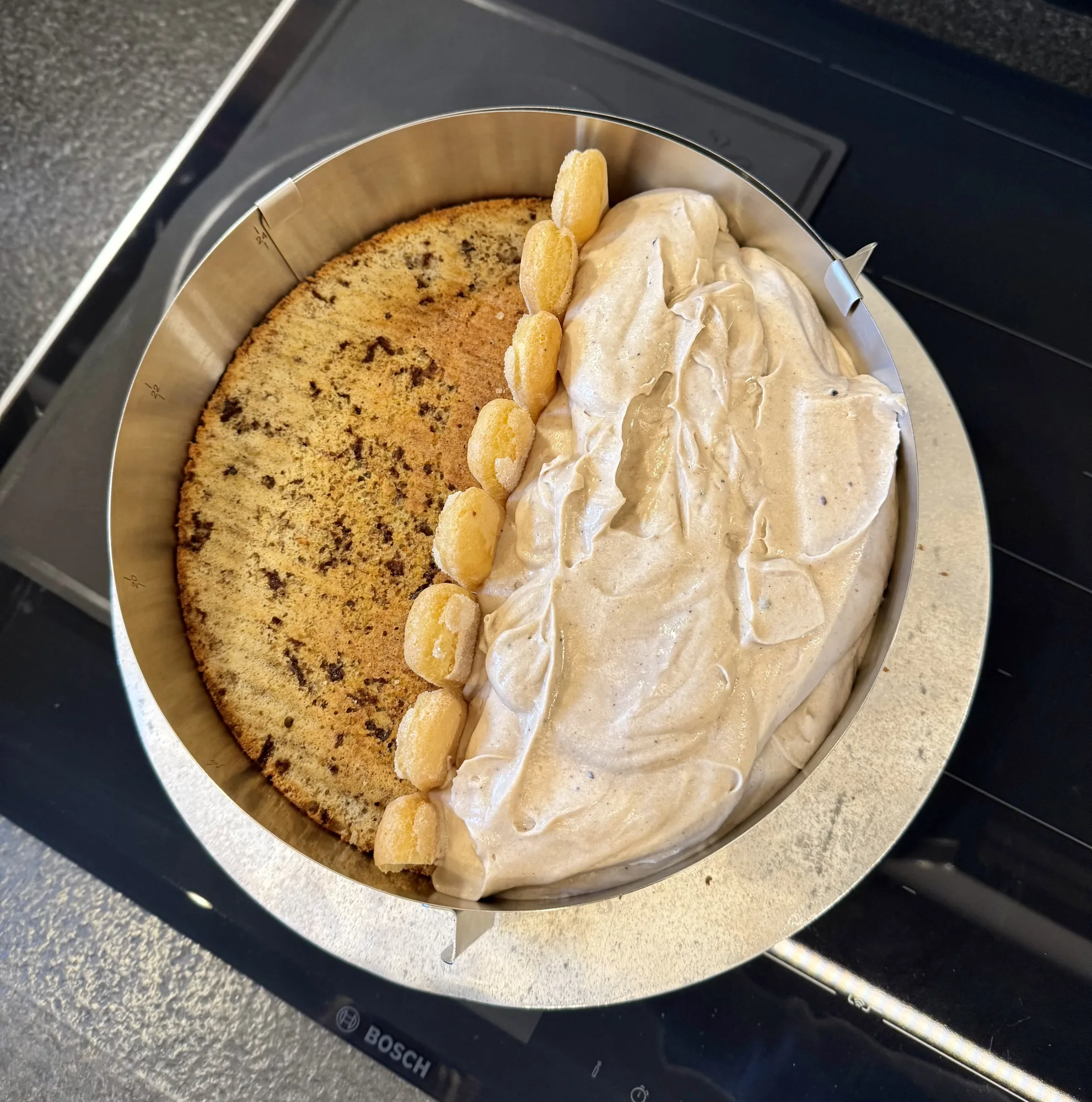 Sahnetorte halb/halb im Tortenring: links Schokoladen-Biskuitboden, rechts hellbraune Creme, dazwischen aufgestellte Löffelbiskuits.