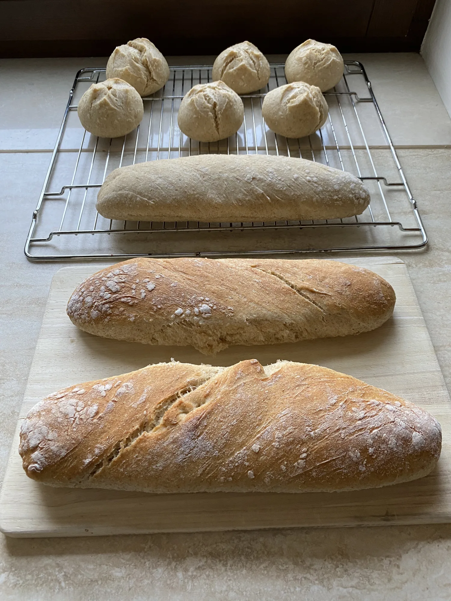 Make-Ahead Dough Rolls