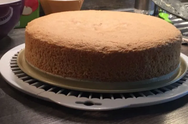 Sponge cake base (Biskuitboden) with a golden-brown, fine-textured surface, well risen, on a greenish plate and a gray cooling rack.