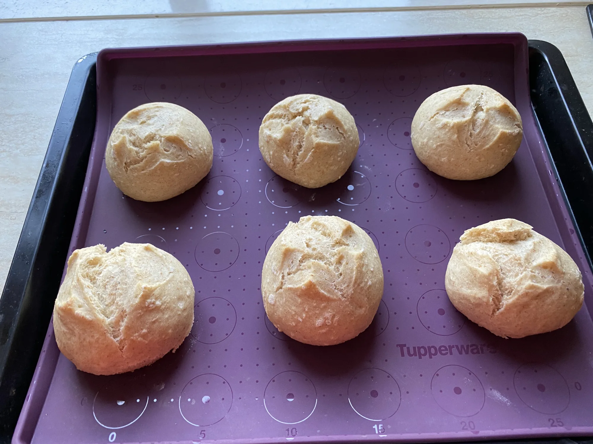 Make-Ahead Dough Rolls