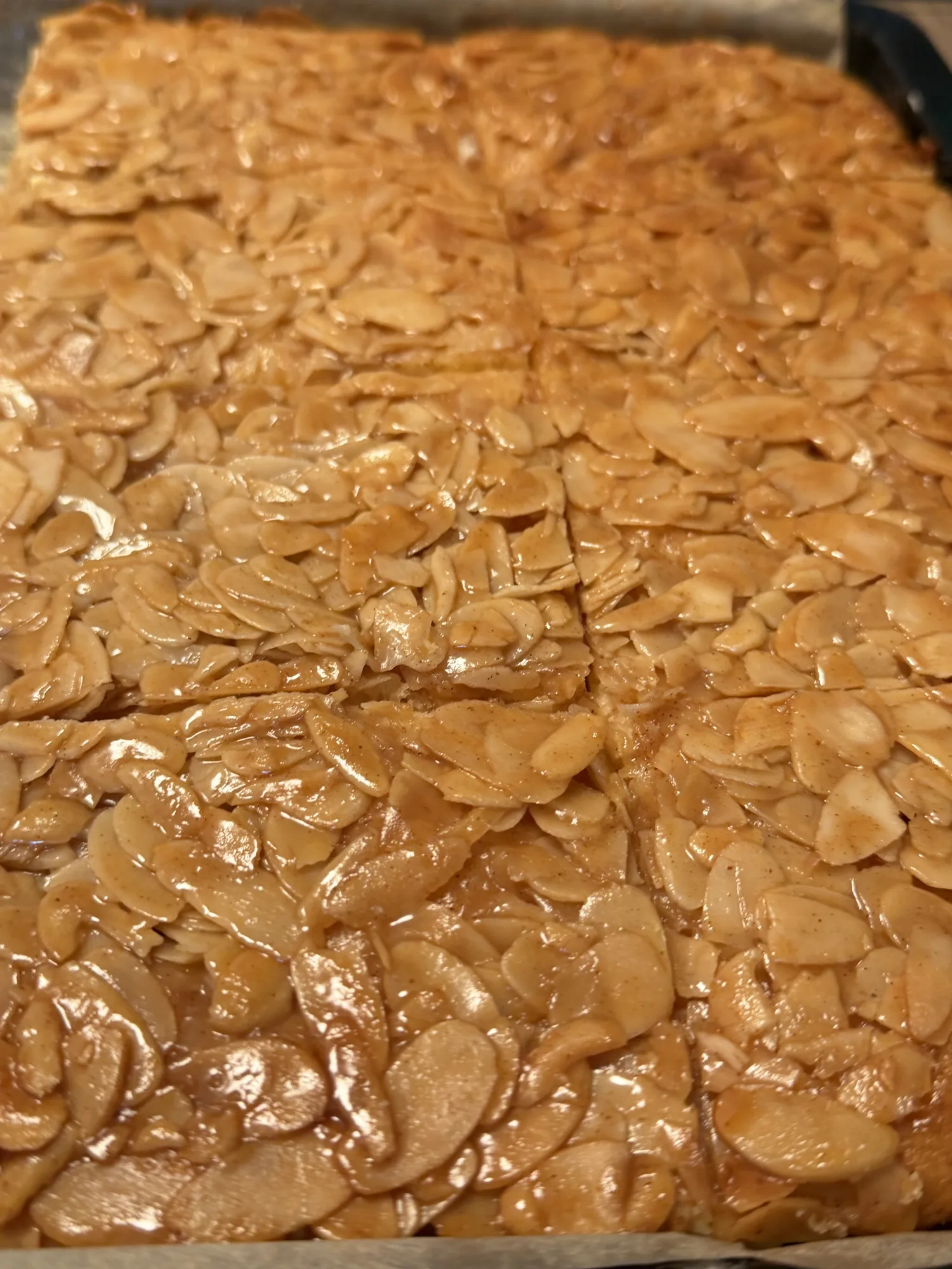 Tölzer Bienenstich (Bee Sting Cake)