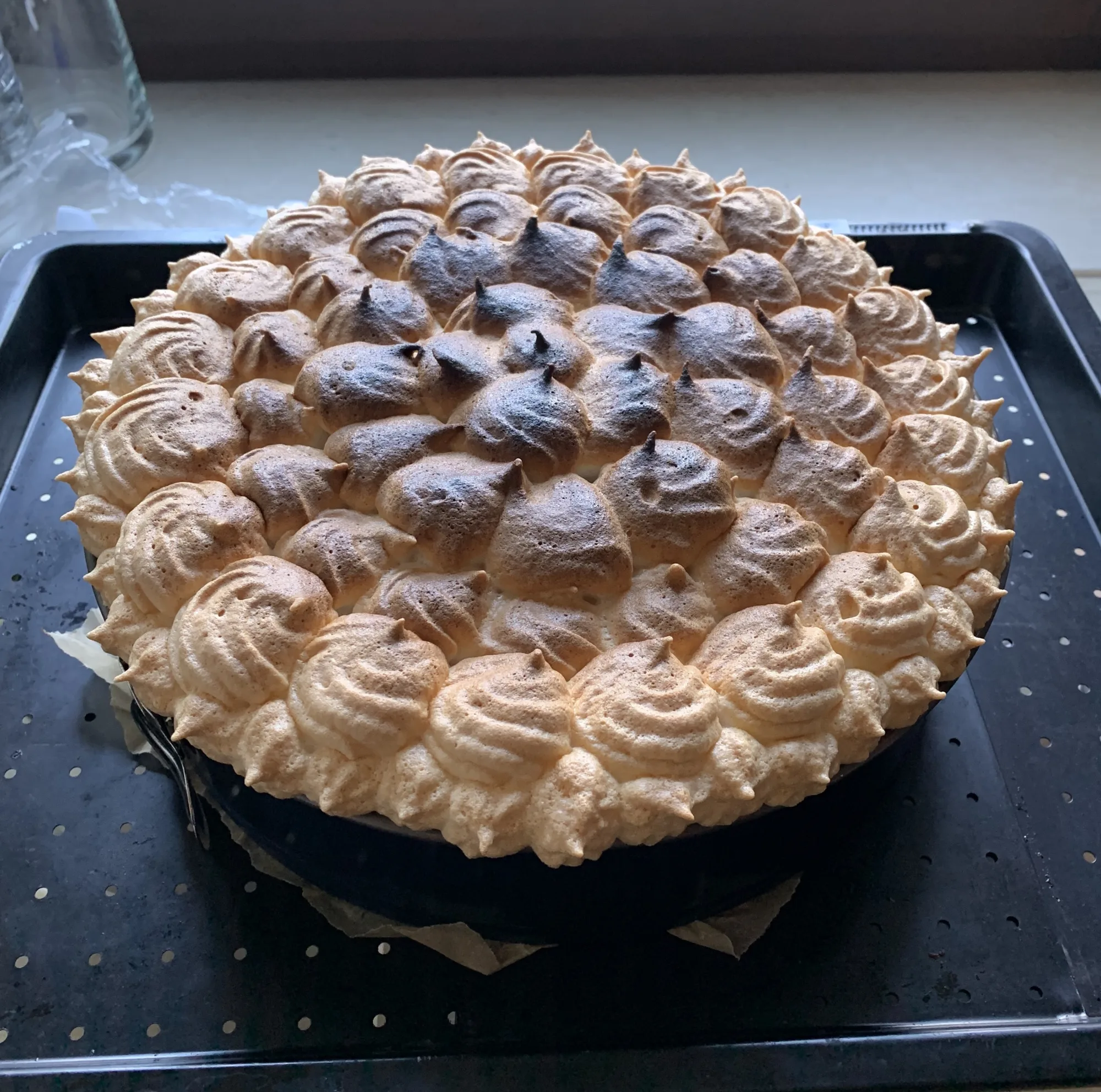 Eggnog Meringue Cheesecake without a Crust (Eierlikör-Baiser-Käsekuchen ohne Boden)
