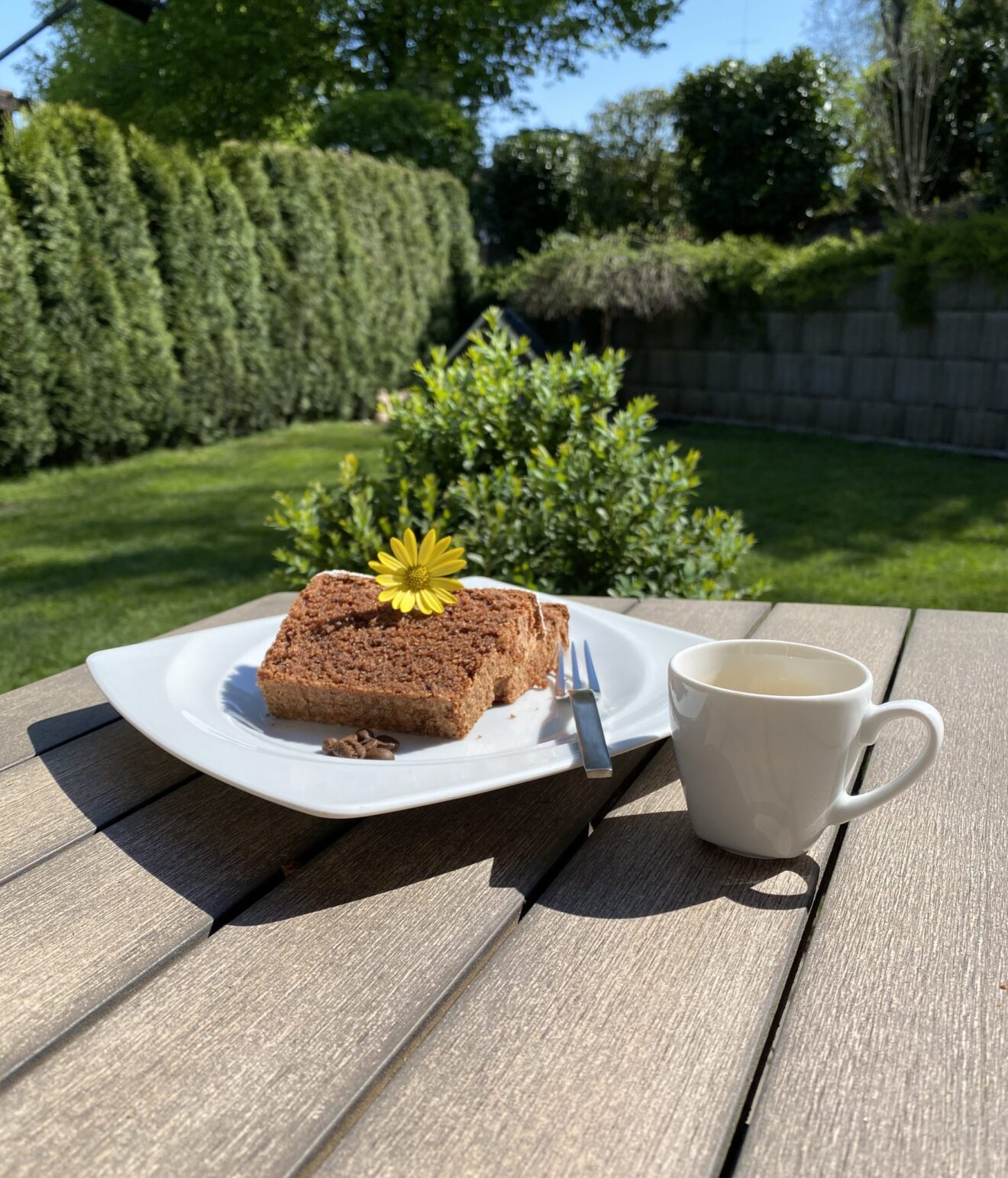 Kaffeekuchen (Coffee Cake)