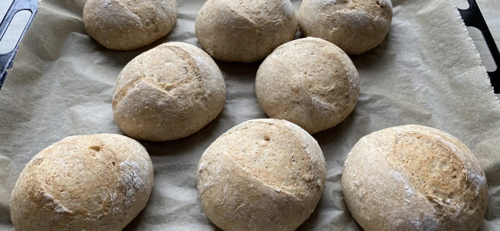 Make-Ahead Dough Rolls